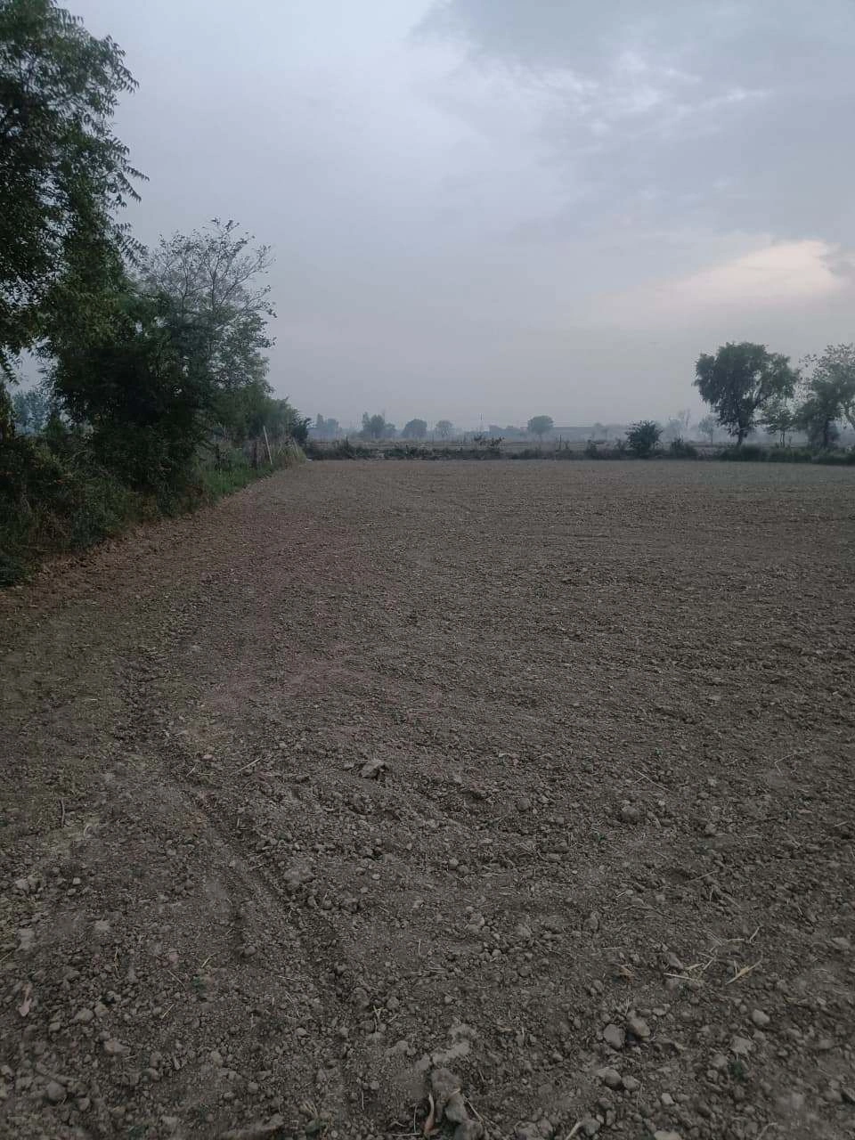 Barhana, Uttar Pradesh, India