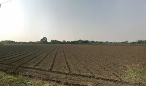 Bawadiya Kalan, Gulmohar Colony, Bhopal, Madhya Pradesh, India preview 3