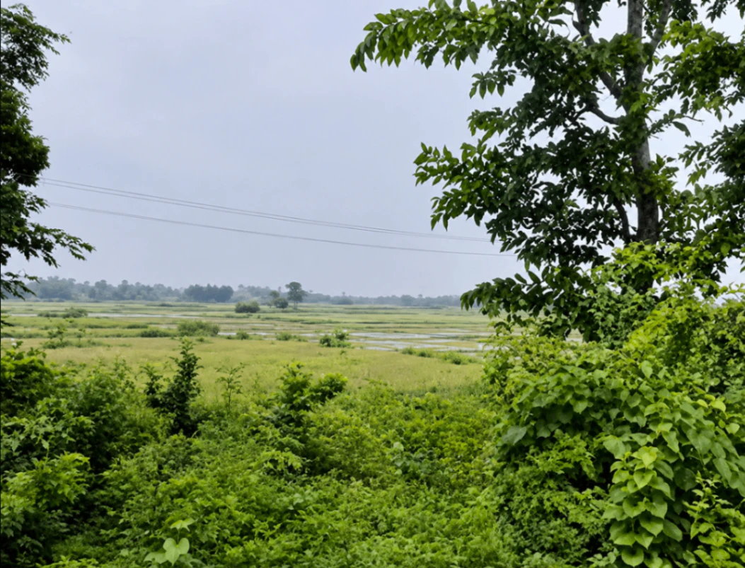 Panagarh, West Bengal 713148, India