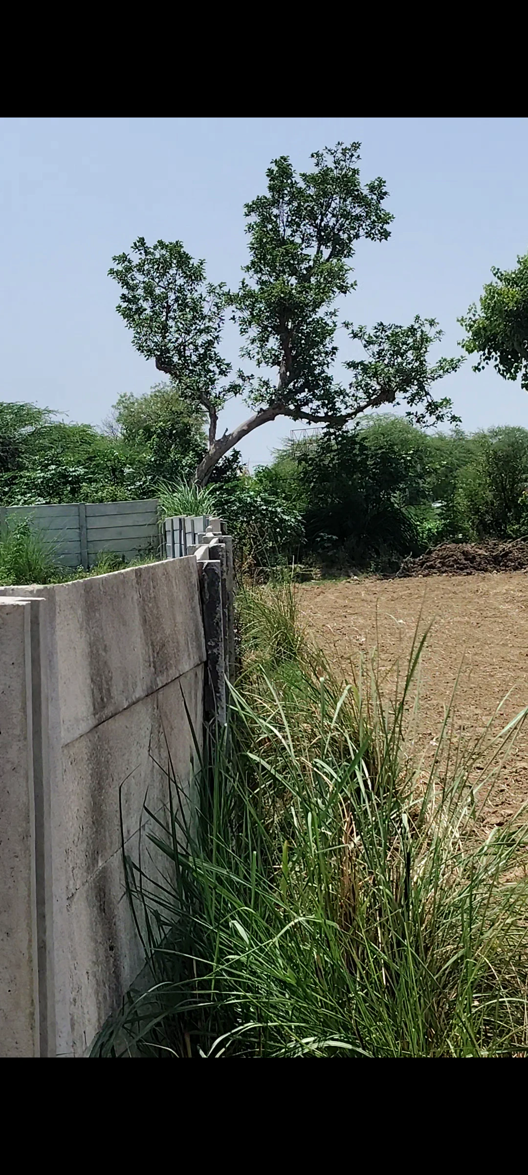 Bhagosa, Govardhan, Mathura, Uttar Pradesh, India