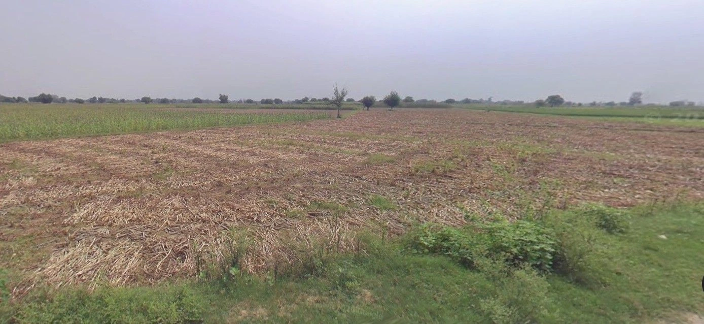 Ingoriya, Madhya Pradesh 456222, India preview 2