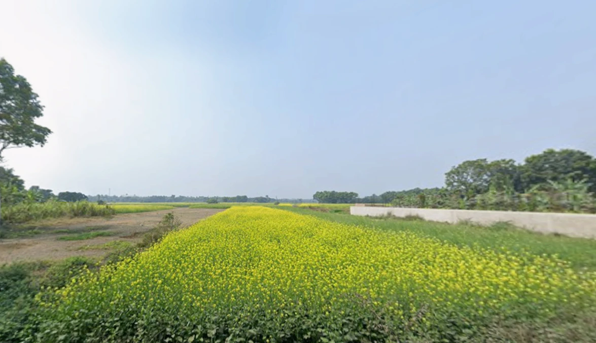 57, Canal Circular Rd, beside Ajanta Footwear Factory, Kadapara, Phoolbagan, Kankurgachi, Kolkata, West Bengal 700054, India