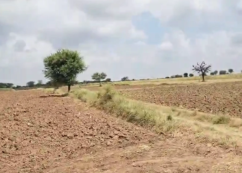 G299+Q79, Ajmer, Kalanada, Rajasthan, India
