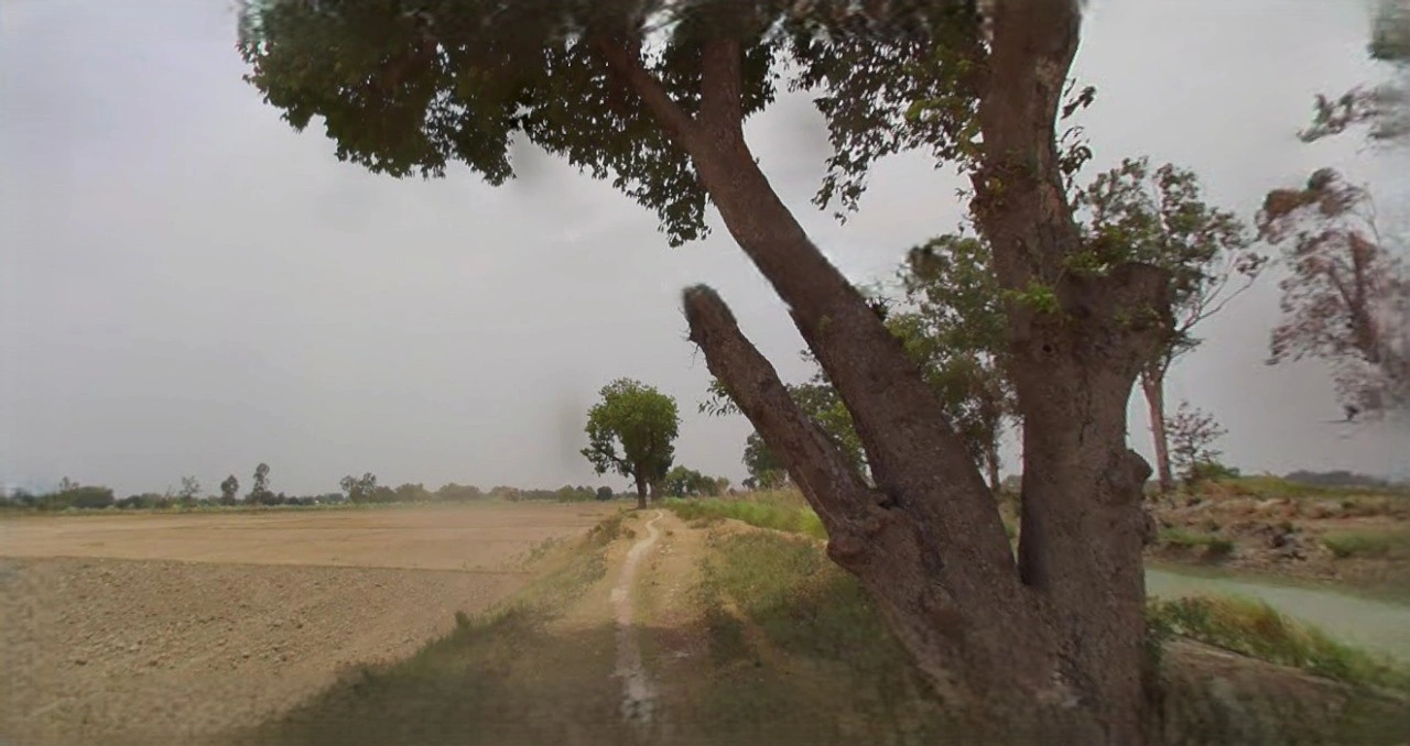 Sri Ganganagar, Rajasthan, India