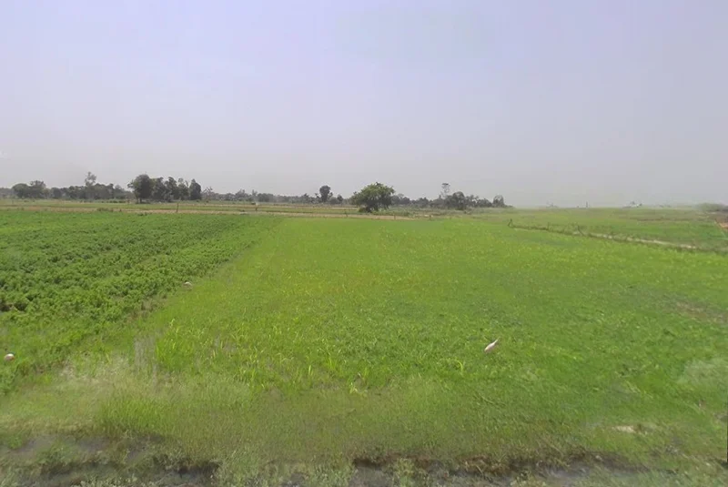 Uattardhona, Uttar Pradesh, India preview 3