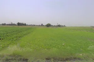 Uattardhona, Uttar Pradesh, India preview 3