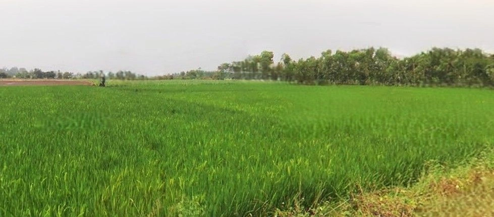 Beri, Haryana 124201, India