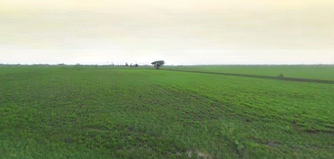 Chhuchhakwas, Haryana 124106, India preview 2