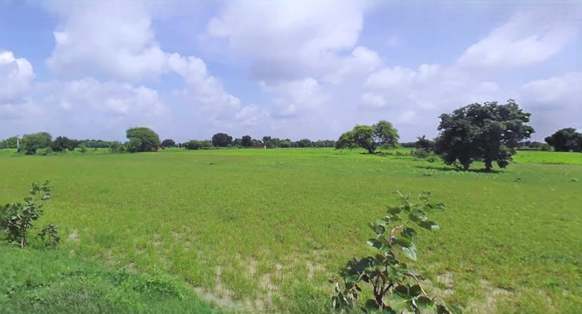 Bijnor, Uttar Pradesh 246701, India