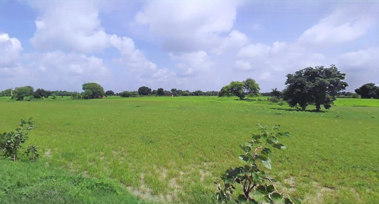 Bijnor, Uttar Pradesh 246701, India