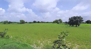 Bijnor, Uttar Pradesh 246701, India preview 3