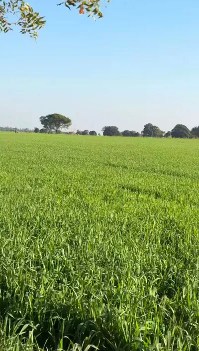 Jinwani, Madhya Pradesh 455440, India preview 2