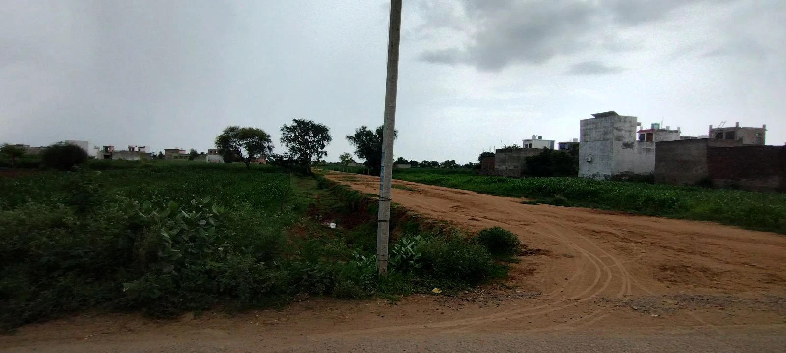 Barodameo, Alwar, Rajasthan 301021, India