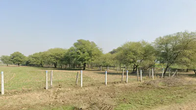 Kotkhawda, Rajasthan 303908, India preview 2