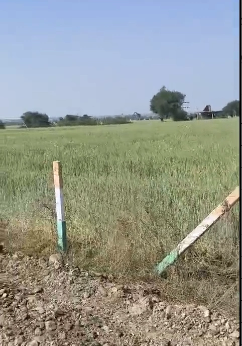 Khurmundi, Ujjain, Madhya Pradesh 456224, India - Photo 3