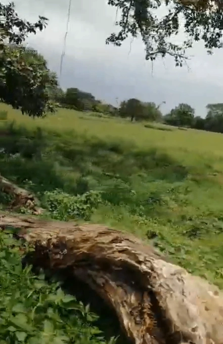Marihan, Mirzapur, Uttar Pradesh 231210, India