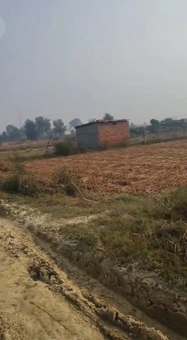 Morinda - Chunni Rd, Bhateri, Punjab, India