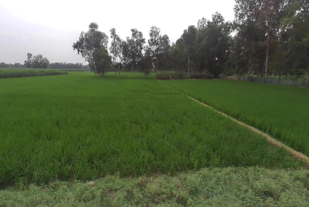 Deoie, Uttar Pradesh 224189, India