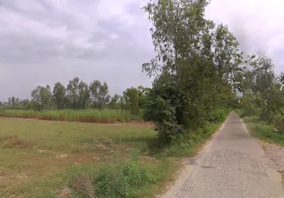 Bijora, Uttar Pradesh, India preview 2