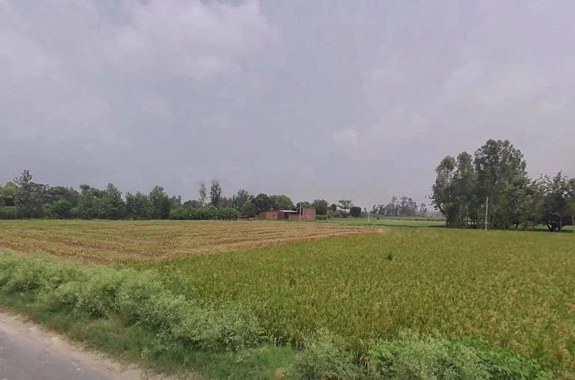 00, Nakur, Uttar Pradesh 247342, India