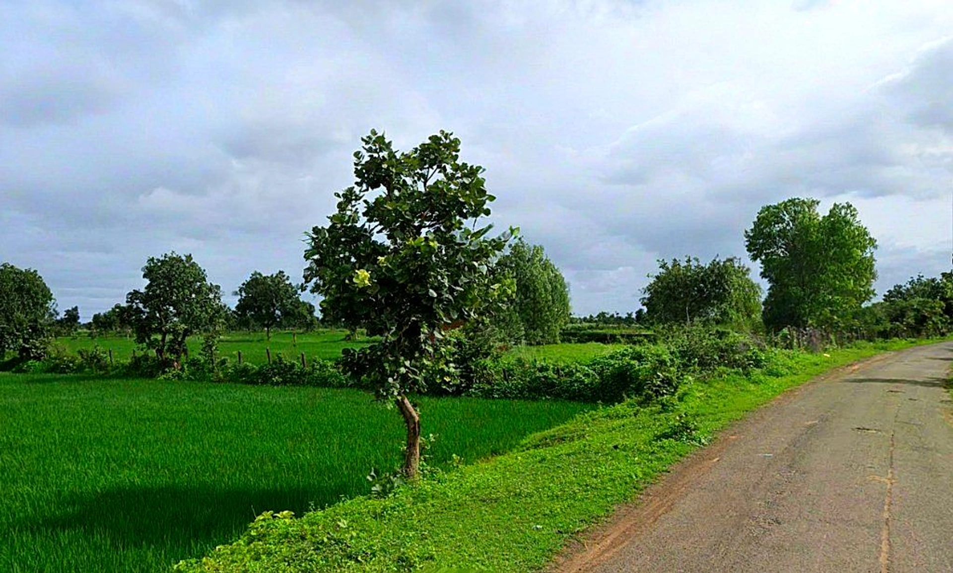 Mohra, Chhattisgarh, India