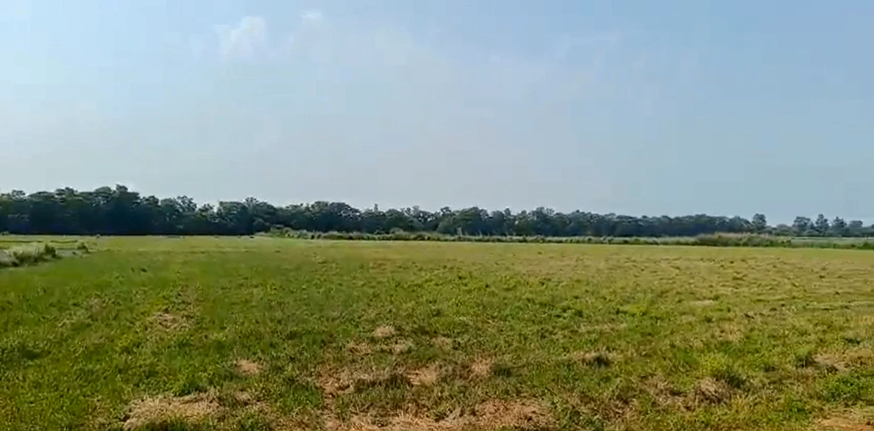 VQH9+553, Khairthal-Tijara, Chamroda, Rajasthan 301405, India