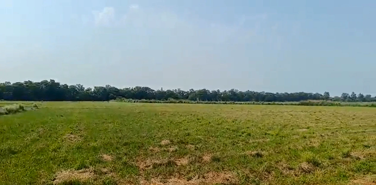 VQH9+553, Khairthal-Tijara, Chamroda, Rajasthan 301405, India