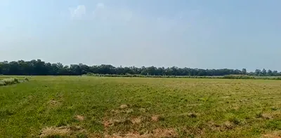 VQH9+553, Khairthal-Tijara, Chamroda, Rajasthan 301405, India preview 2
