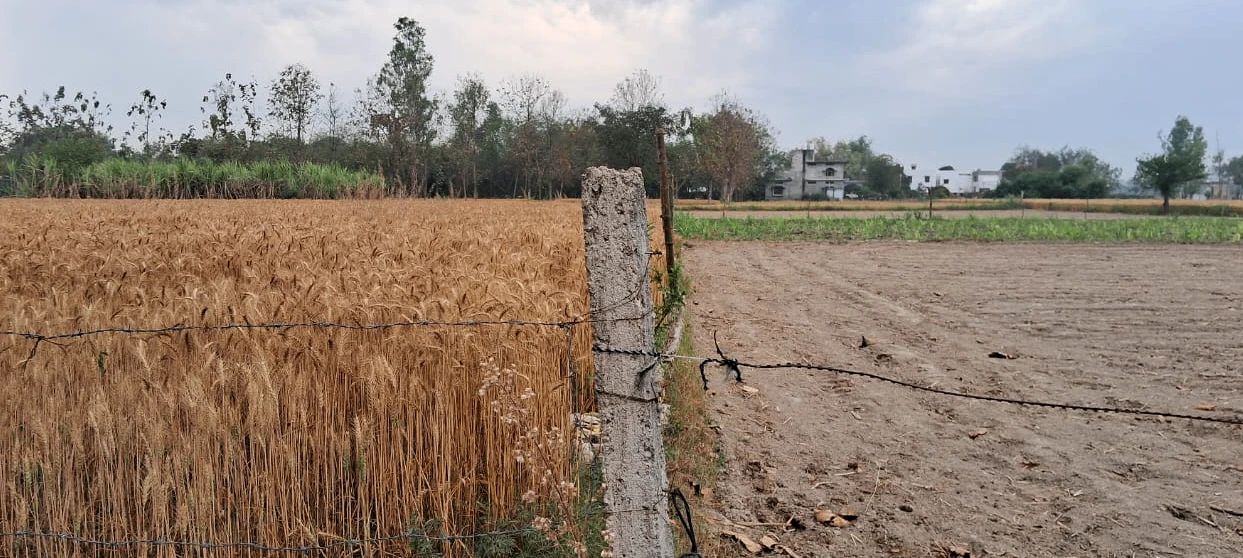 Bajuha Khurd, Punjab 144033, India