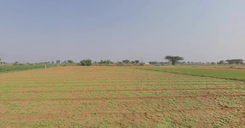 Matar, Gujarat 387530, India preview 3