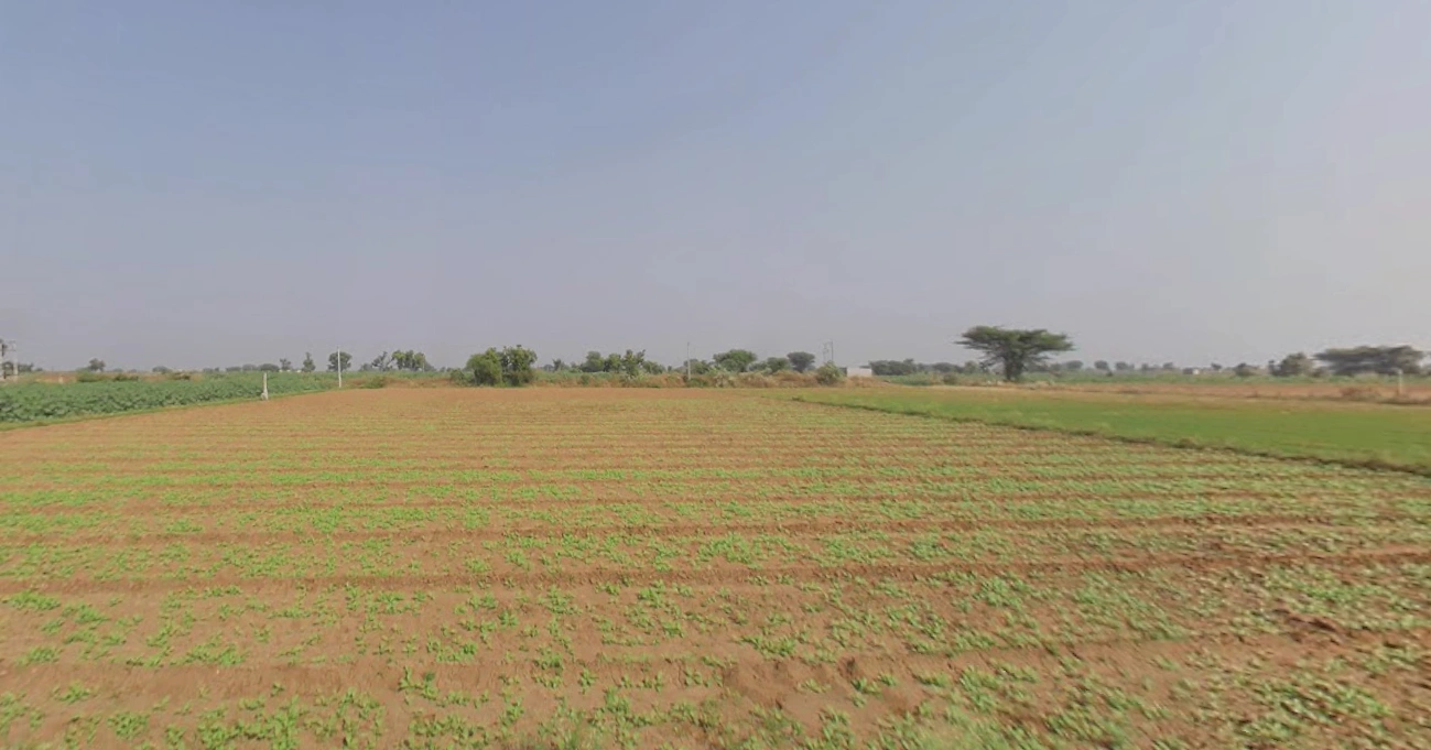 Matar, Gujarat 387530, India