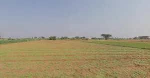 Matar, Gujarat 387530, India preview 3