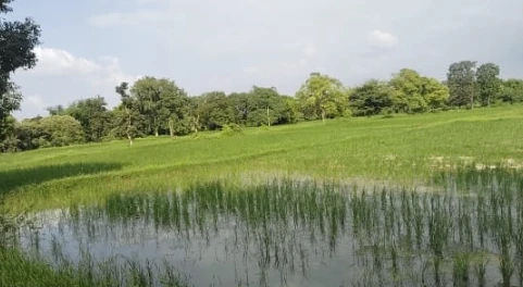 Mavaiya Kala, Uttar Pradesh, India