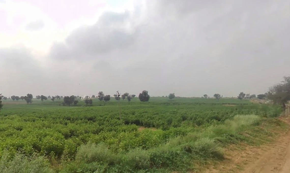 Arjansar, Rajasthan 334604, India