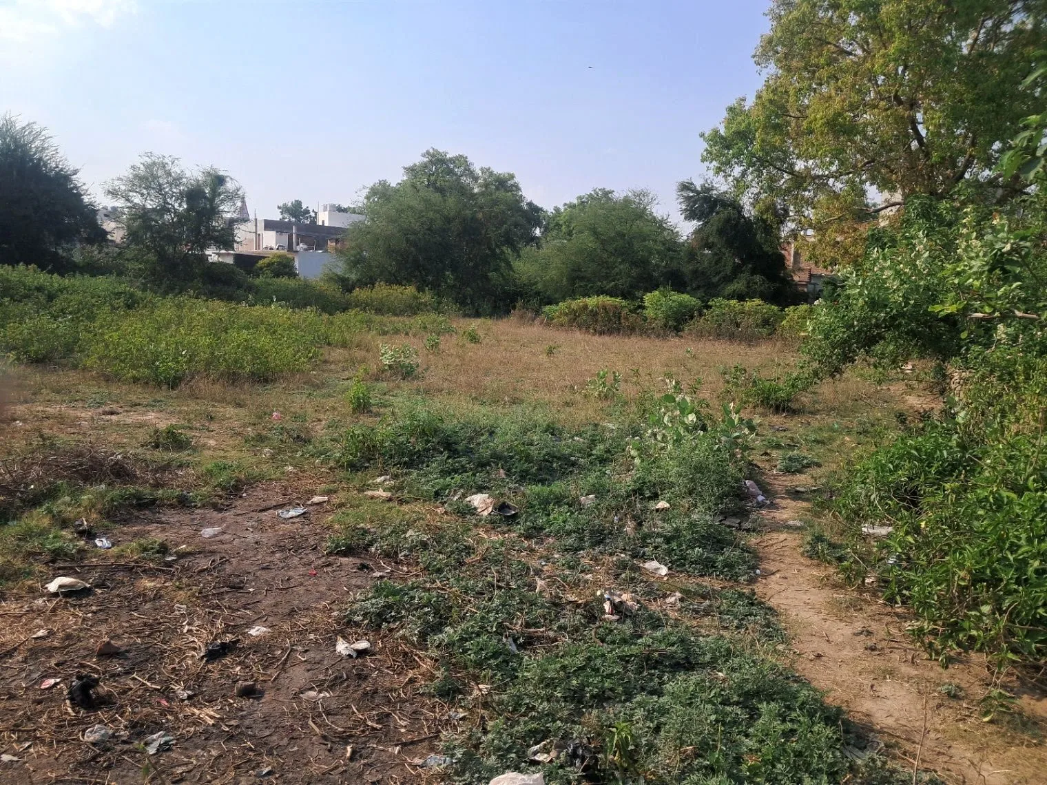 F4JC+G7 Benipur, Uttar Pradesh, India