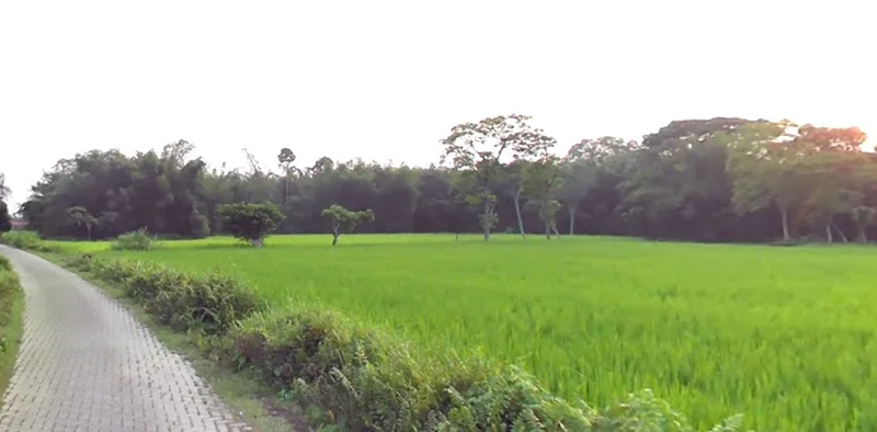 Narsinghpur, Madhya Pradesh 487001, India preview 3