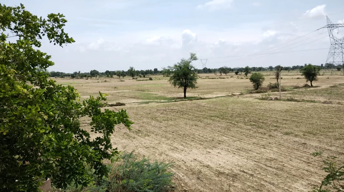 Anupshahar, Uttar Pradesh 203390, India
