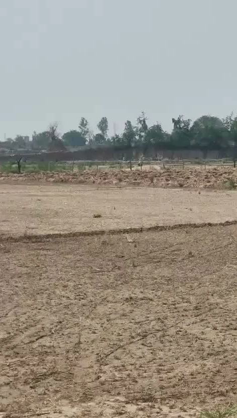 45QQ+96 Mandkola, Palwal, Haryana, India