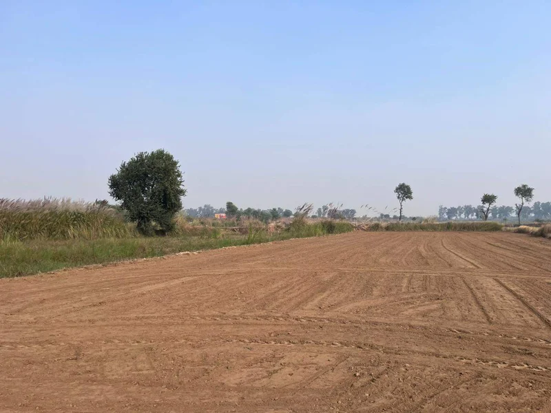 Kanoli, Haryana, India preview 3