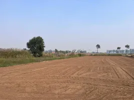 Kanoli, Haryana, India preview 3