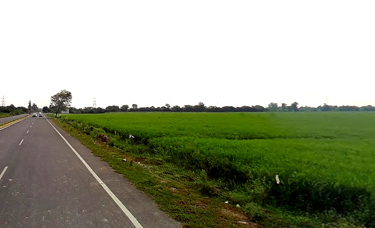 Govardhan, Uttar Pradesh, India