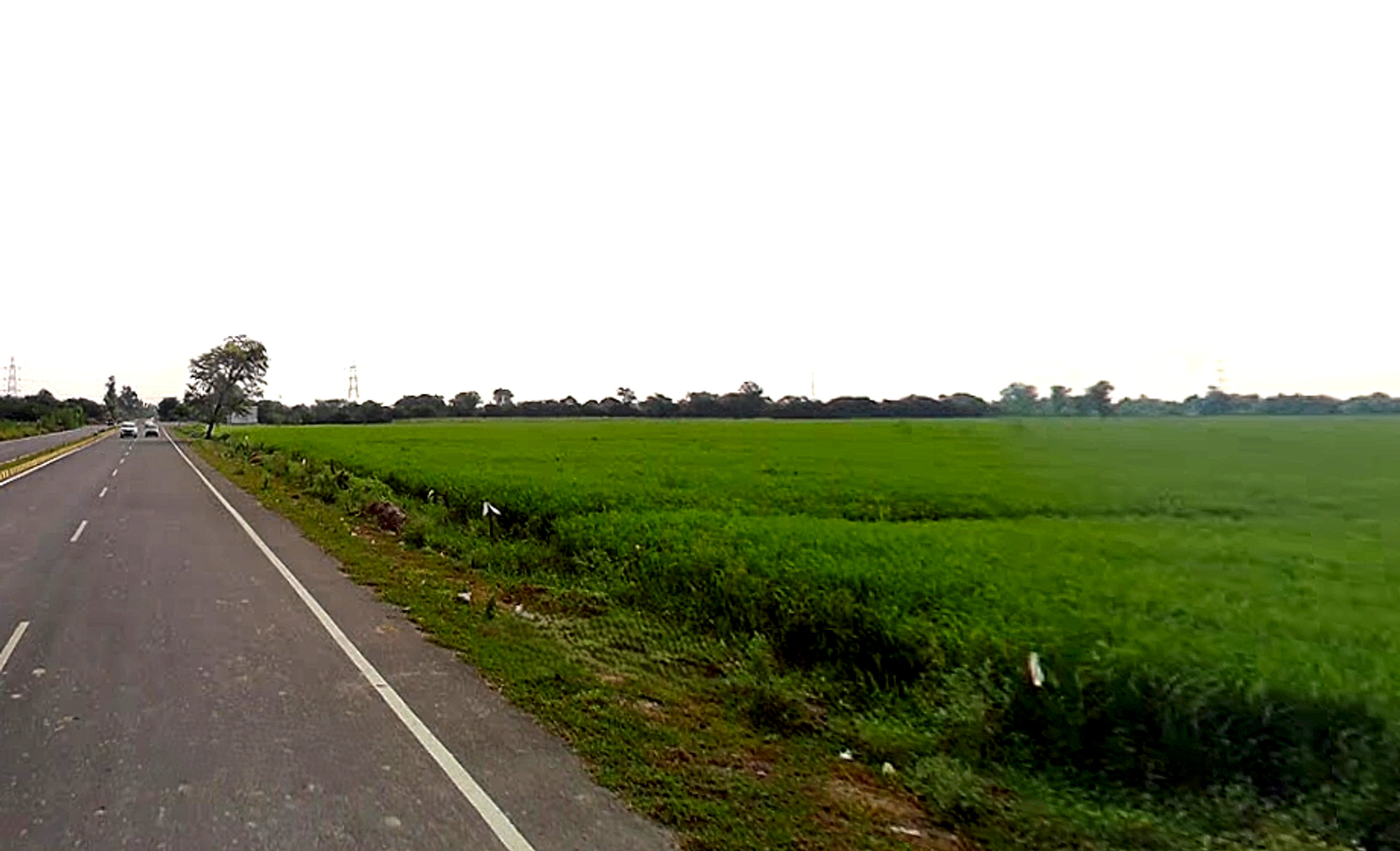 Govardhan, Uttar Pradesh, India
