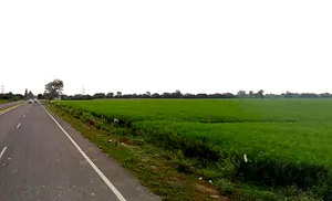 Govardhan, Uttar Pradesh, India preview 2