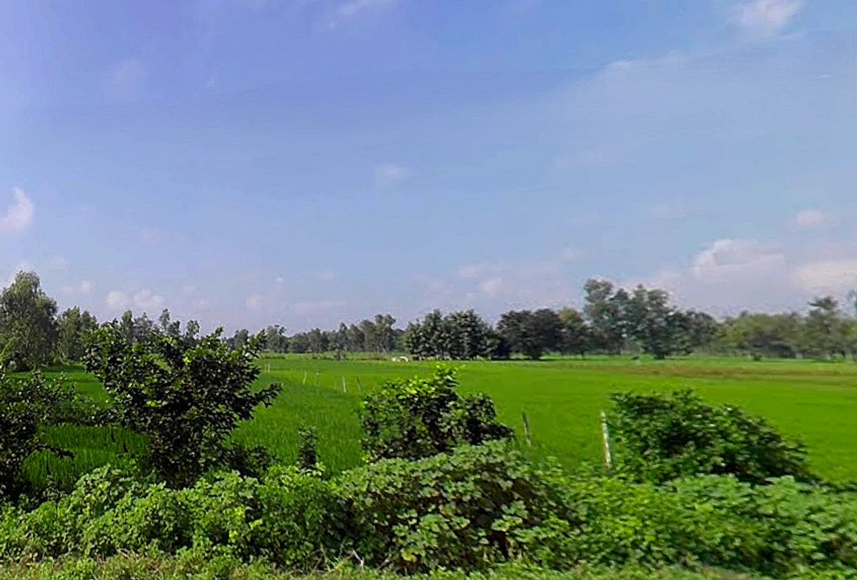 Gangaganj, Uttar Pradesh 226501, India