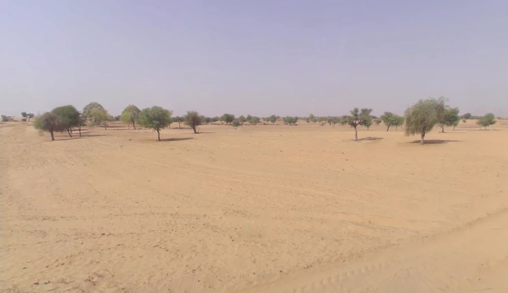 Amarpura, Rajasthan 331023, India