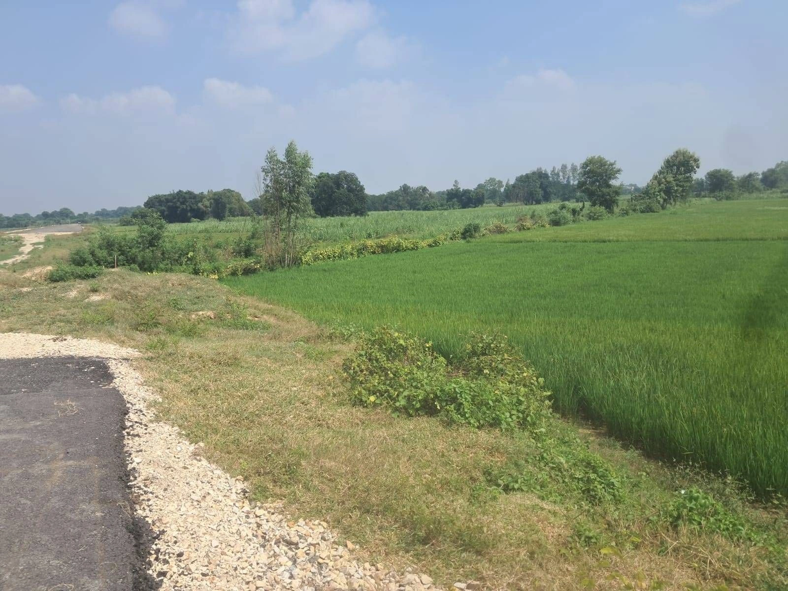 P692+CM Dadera, Ayodhya, Uttar Pradesh, India