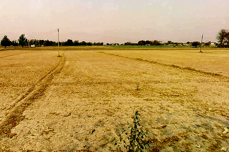 Partapur - Chijarshi Rd, Chhajarasi Kuleechnagar, Uttar Pradesh 245304, India preview 2