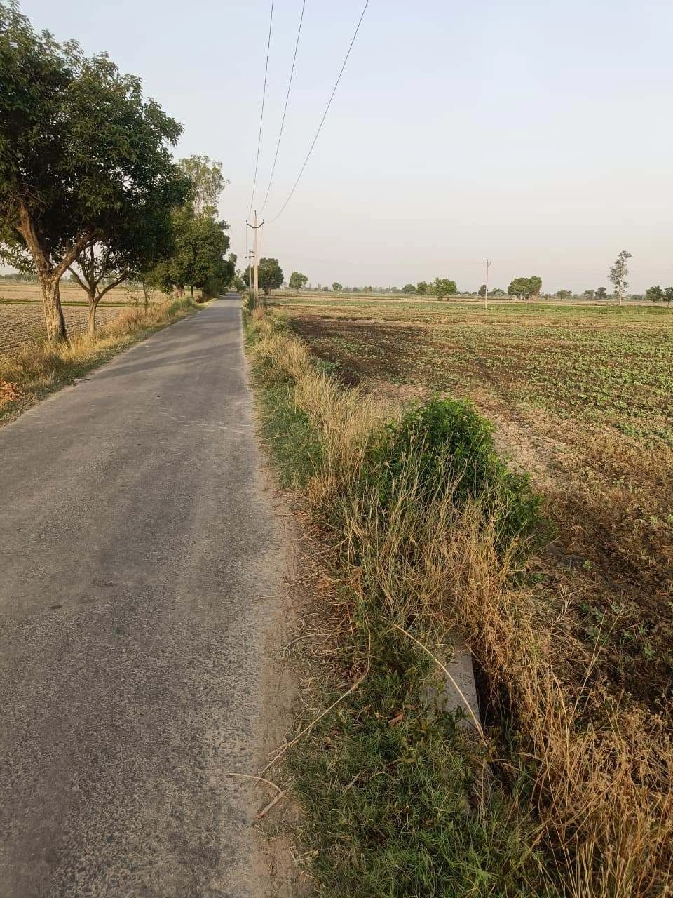 Tentigaon, Uttar Pradesh, India