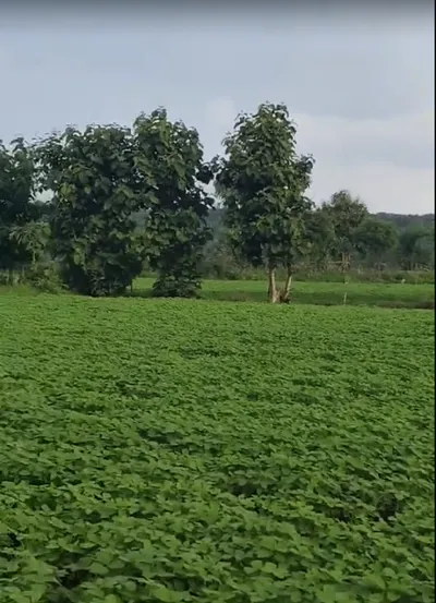 Huzur, Bhopal, Madhya Pradesh 462001, India preview 3