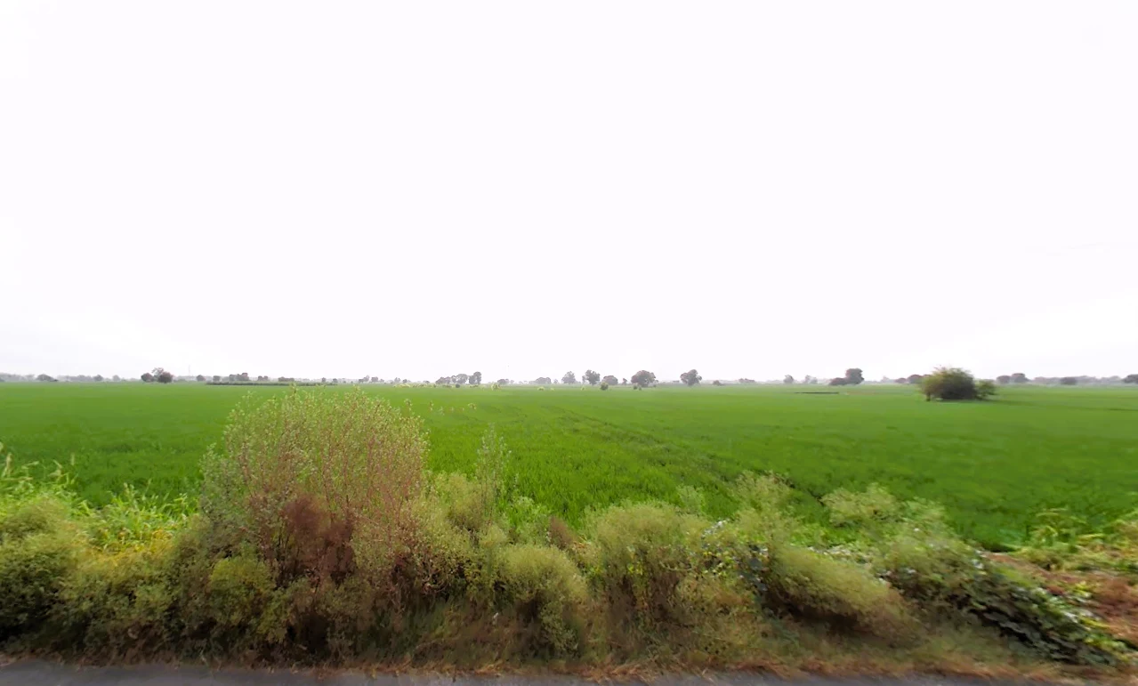 Madlauda, Haryana 132113, India